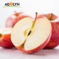 La fábrica de buena calidad proporciona manzanas frescas de gran tamaño